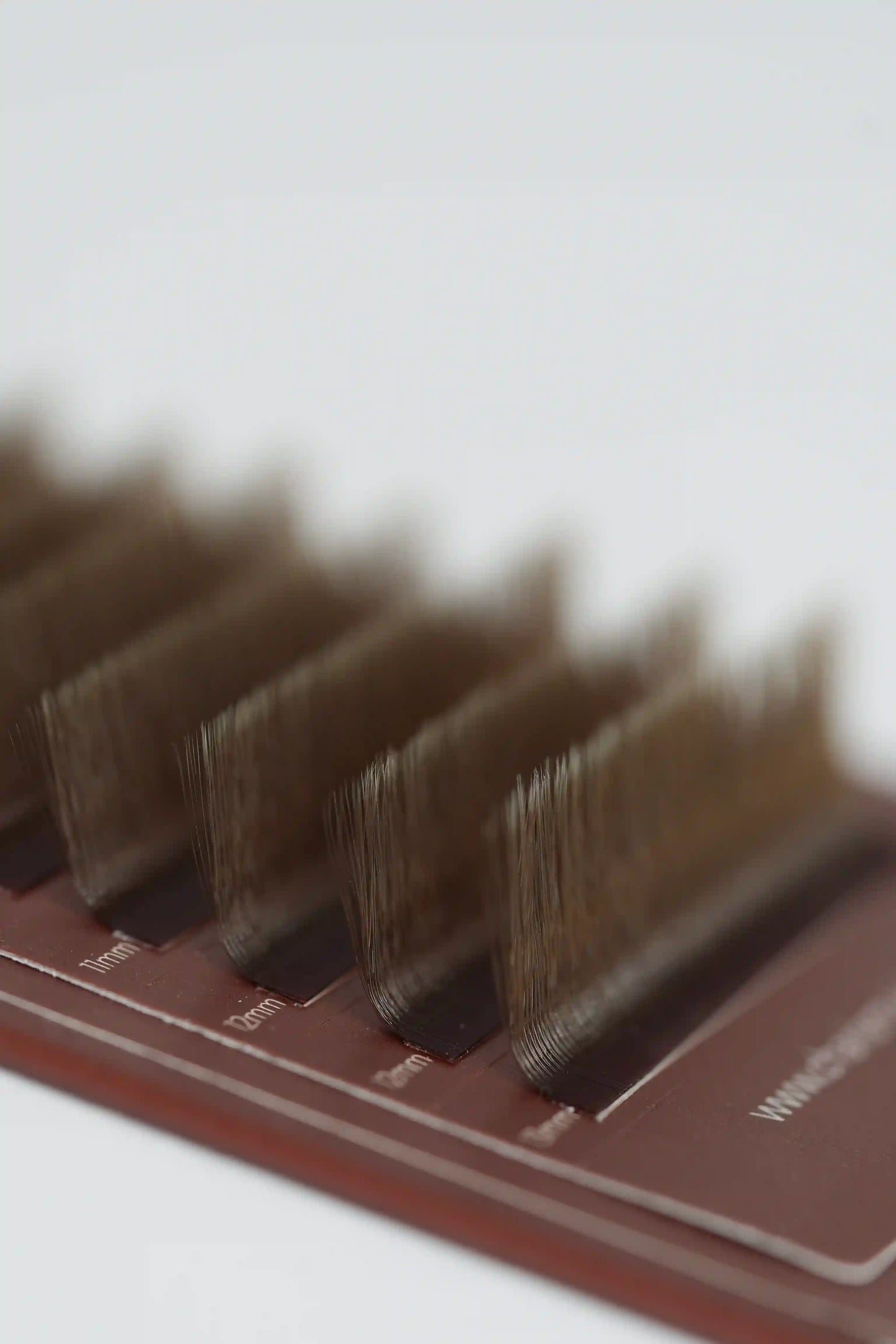 macro close-up of CHARISMA 5DW brown premade lash fans showing narrow base and dense soft volume structure for eyelash extensions