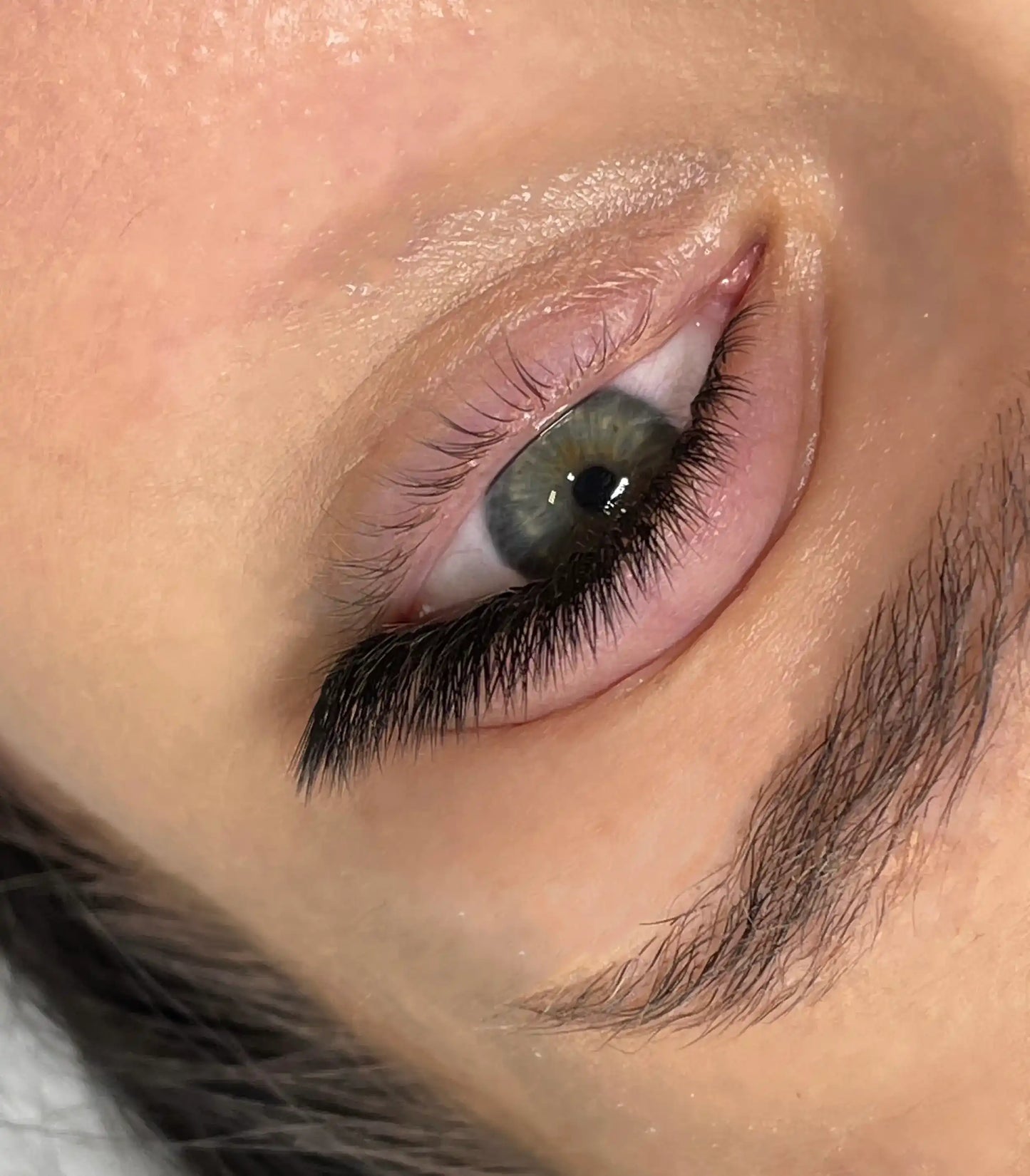 Angled close-up of a client's eye with Fox Eye lash extensions using L curls, showing precise direction and lifted outer corners.