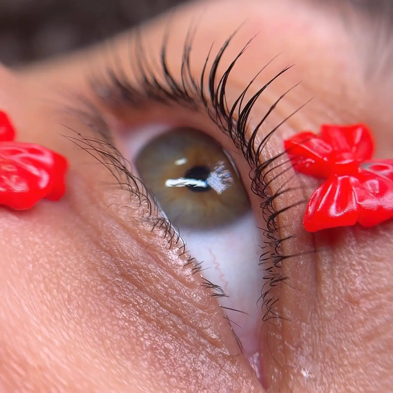 Extreme close-up of natural lashes immediately after InLei® Lash Filler treatment showing enhanced curl and lift