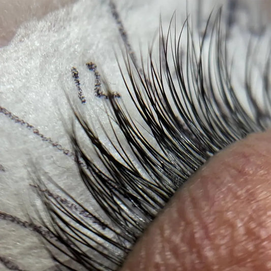 Close-up of applied lash extensions on mapping tape, showing clean lash bonding and direction