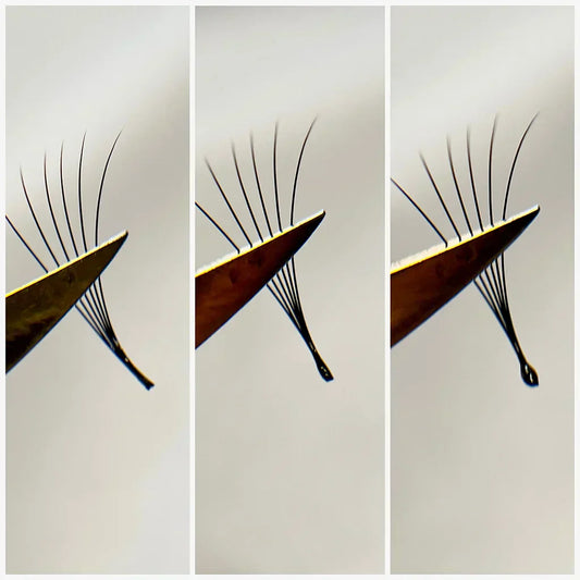 Close-up of volume lash fan being dipped into lash adhesive for eyelash extensions