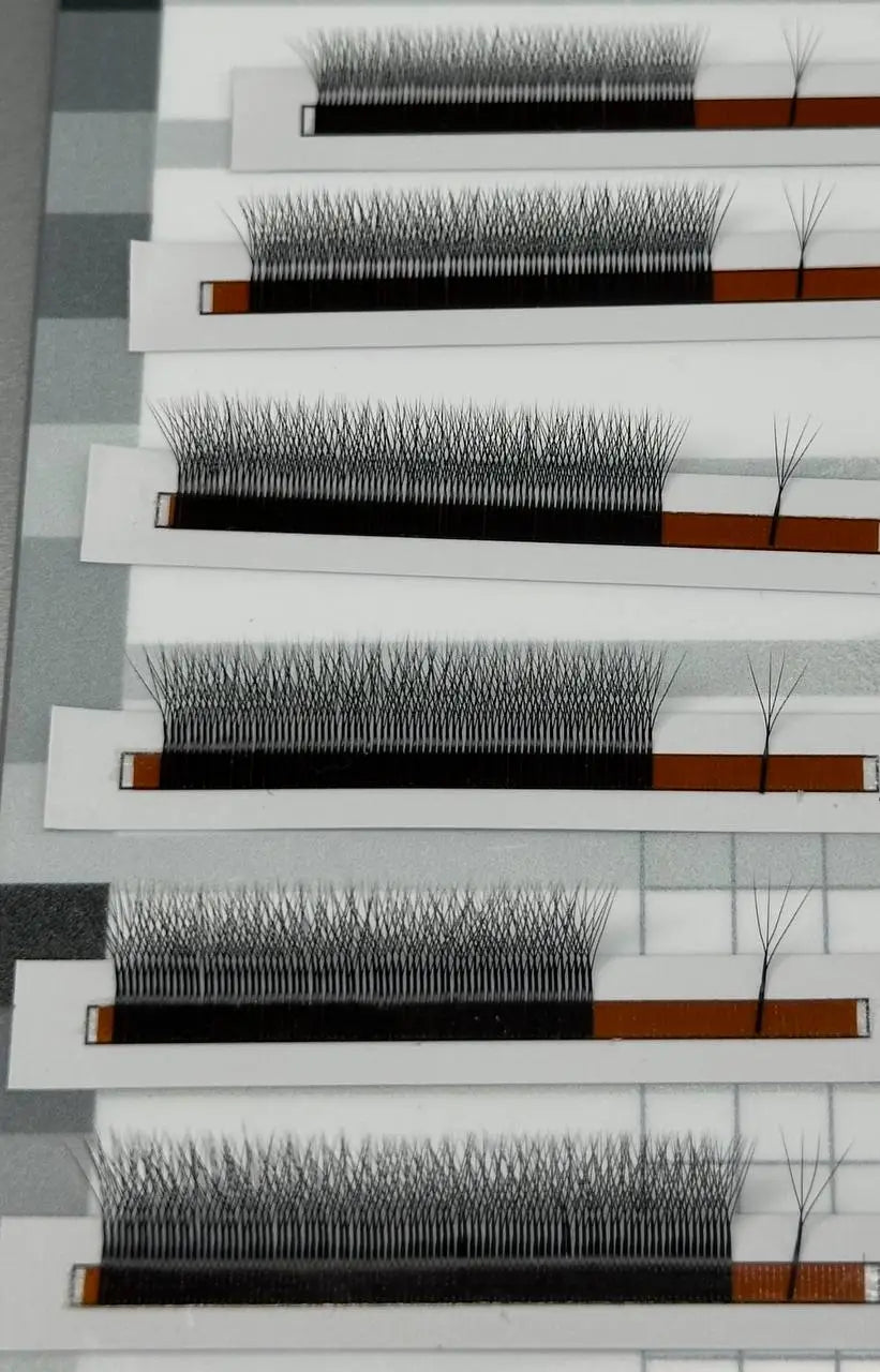 close-up of premade lash fans strips showing W fan structure and narrow base for volume eyelash extensions
