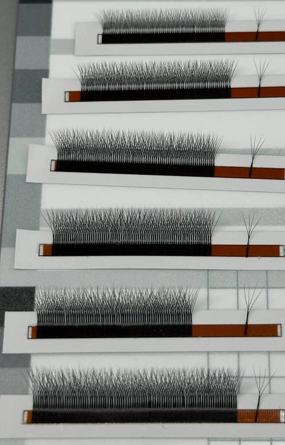 close-up of premade lash fans strips showing W fan structure and narrow base for volume eyelash extensions