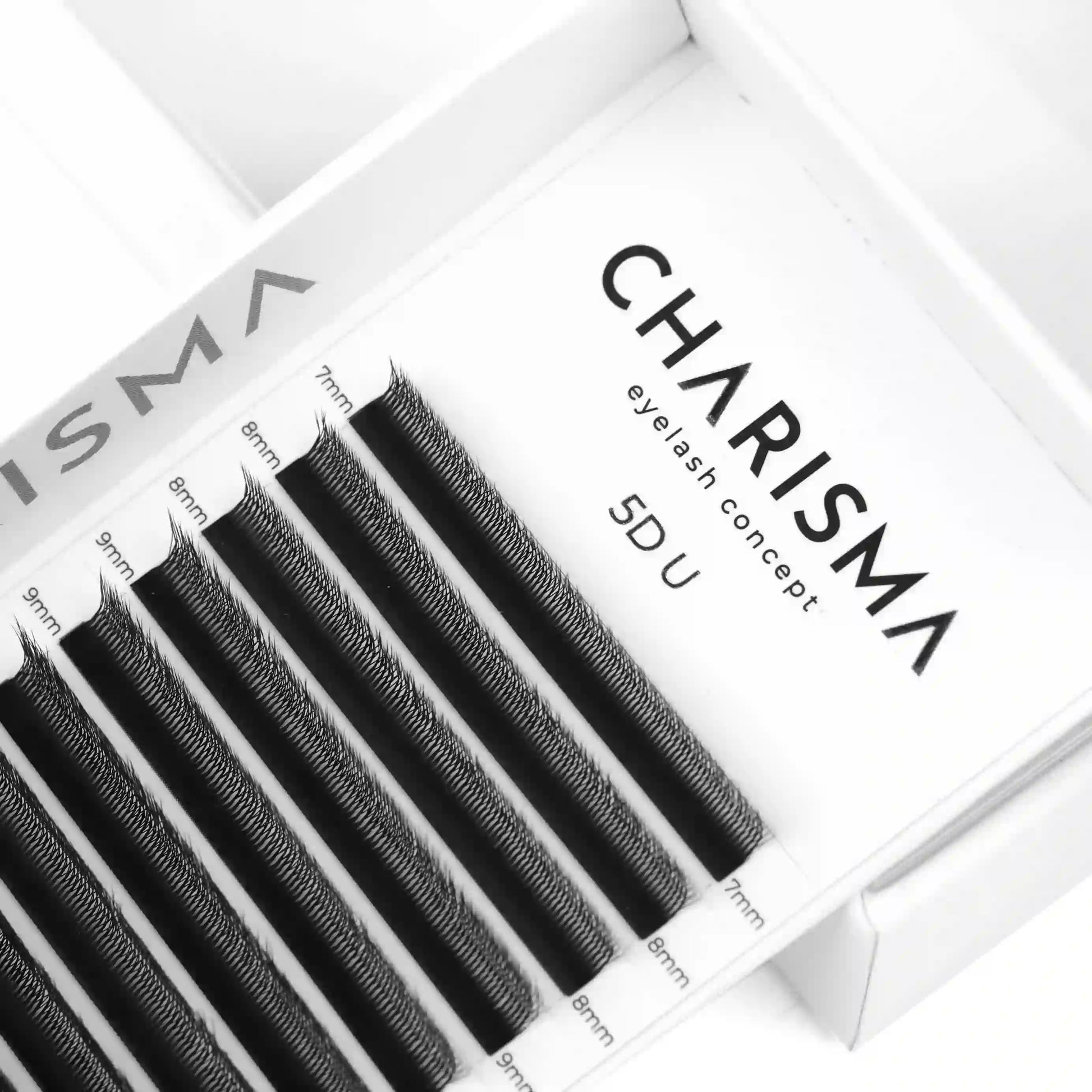 Close-up of CHARISMA SPEEDY U-Series 5D U premade fans for Russian Volume eyelash extensions
