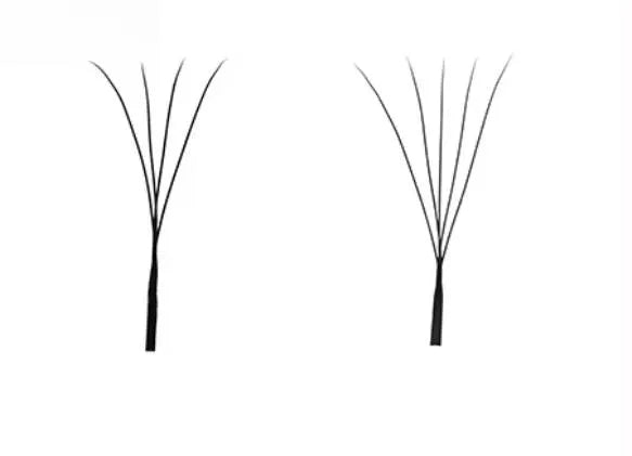 close-up comparison of W lash fan structures showing narrow base premade lash fans for soft and full volume eyelash extensions