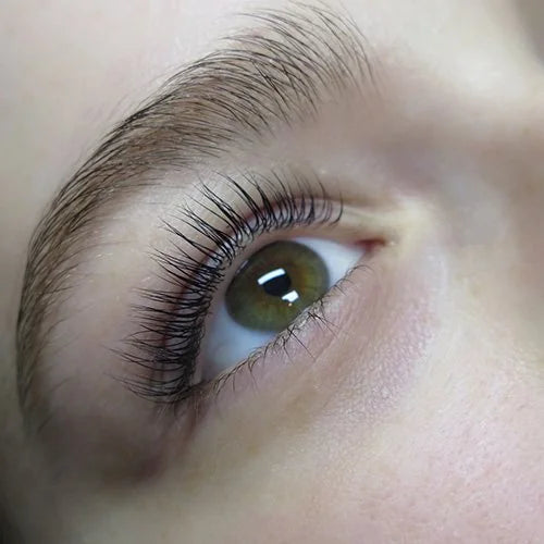 Close-up of lash lift and tint – healthy, natural lashes with enhanced curl and definition
