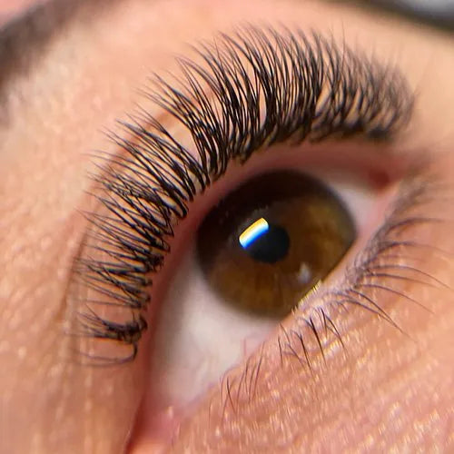 Natural volume lashes with 2D fans by Loredana Irimia – soft and fluffy everyday lash set